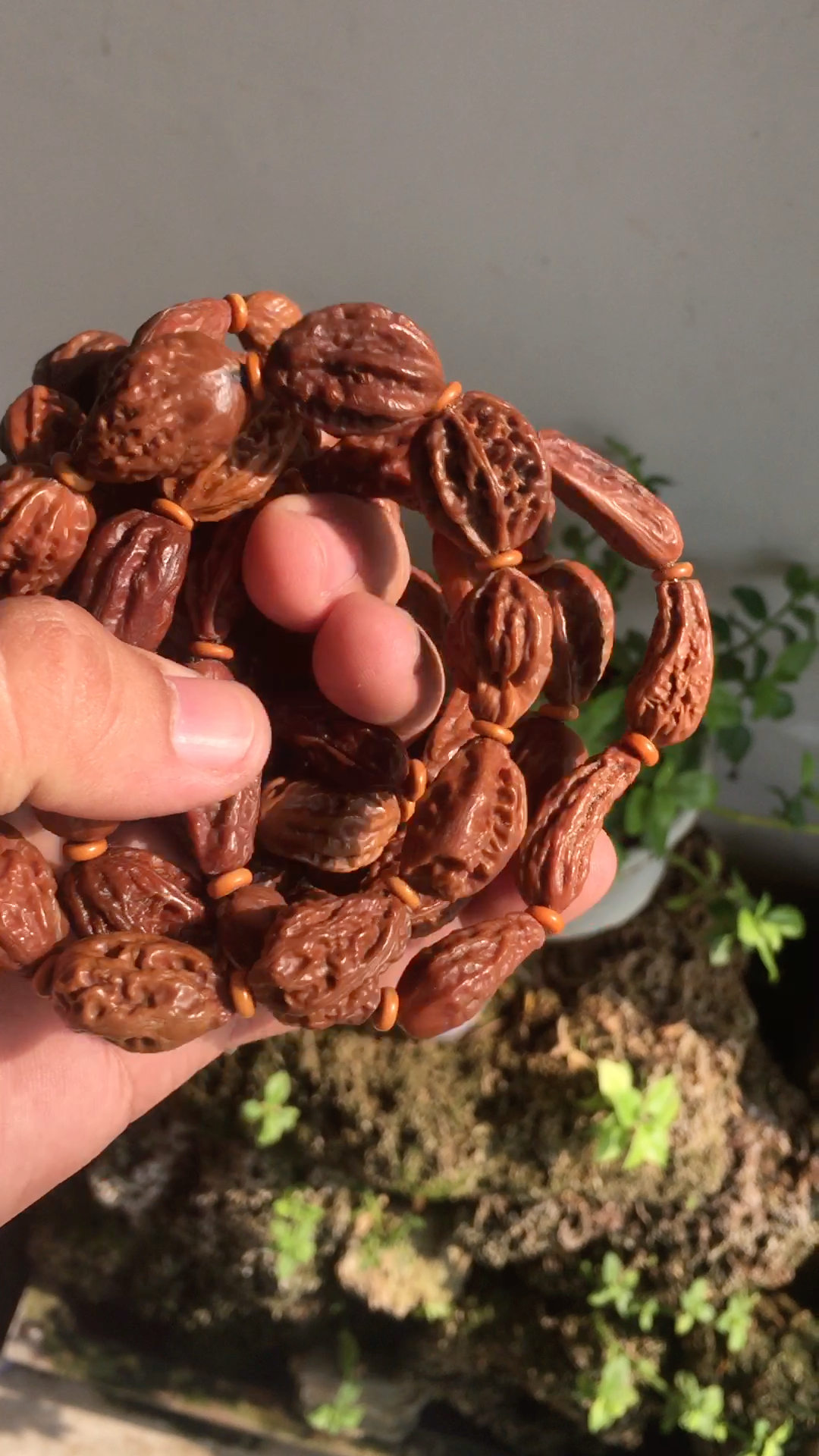 异形小核桃手串