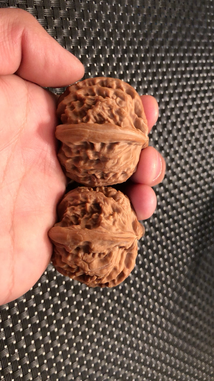 白狮子三棱,喜欢联系