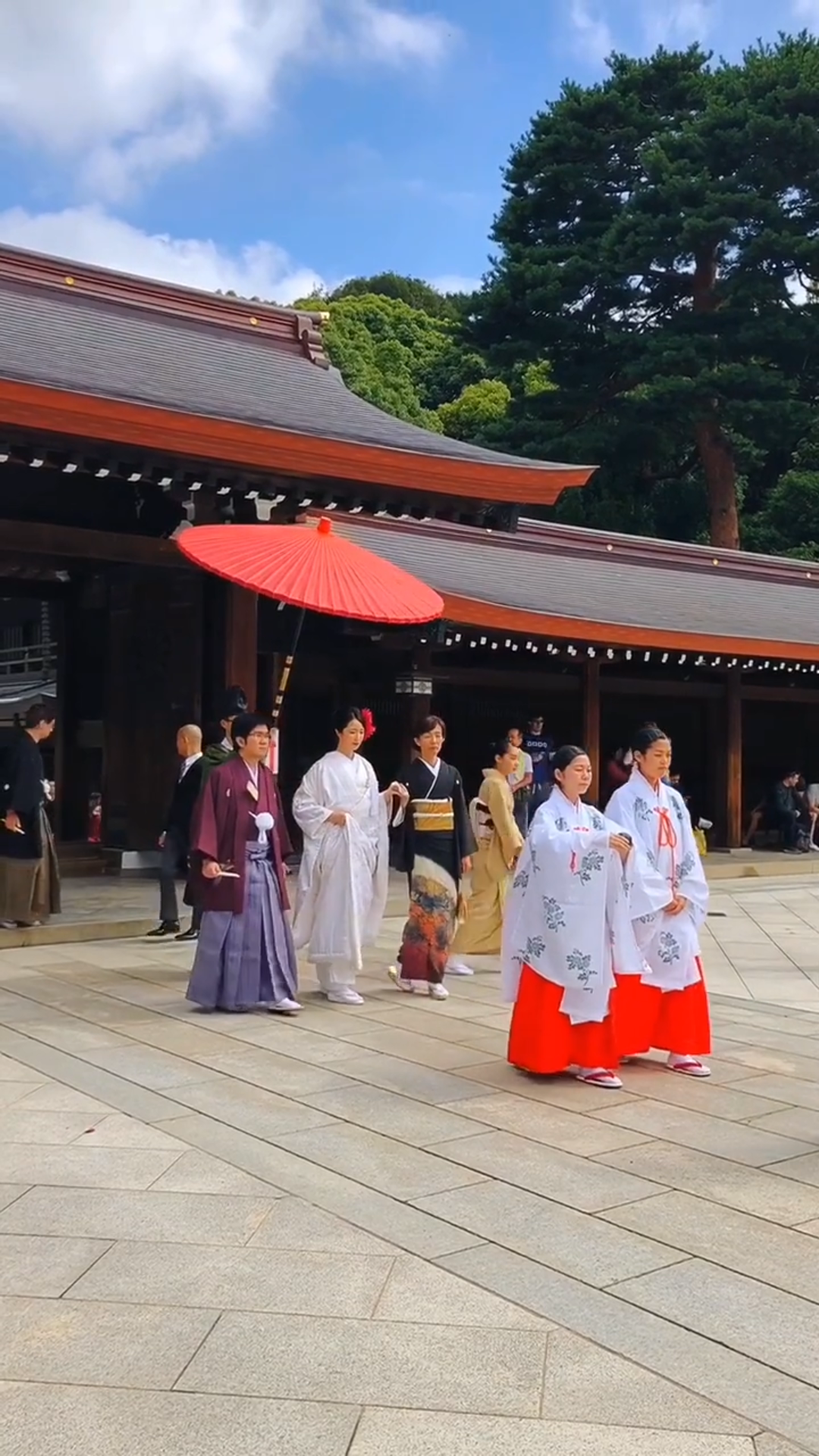 日常偶遇明治神宫的日式婚礼现场.