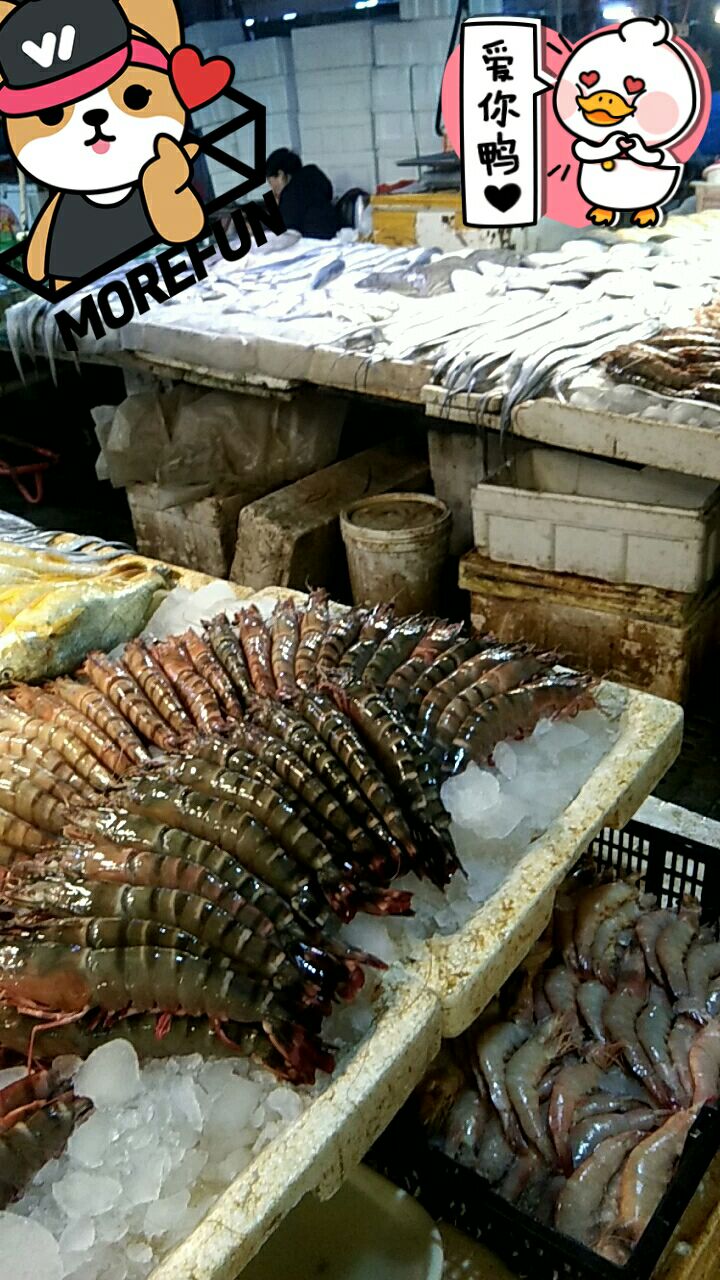 回家了,买点大虾,石斑鱼回家了