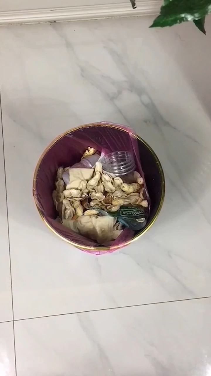 垃圾桶总是有很多小飞虫怎么办,试试这招轻松解决