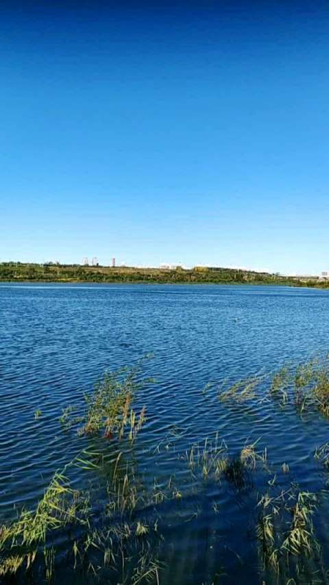 美丽的乌兰察布霸王河秋色.