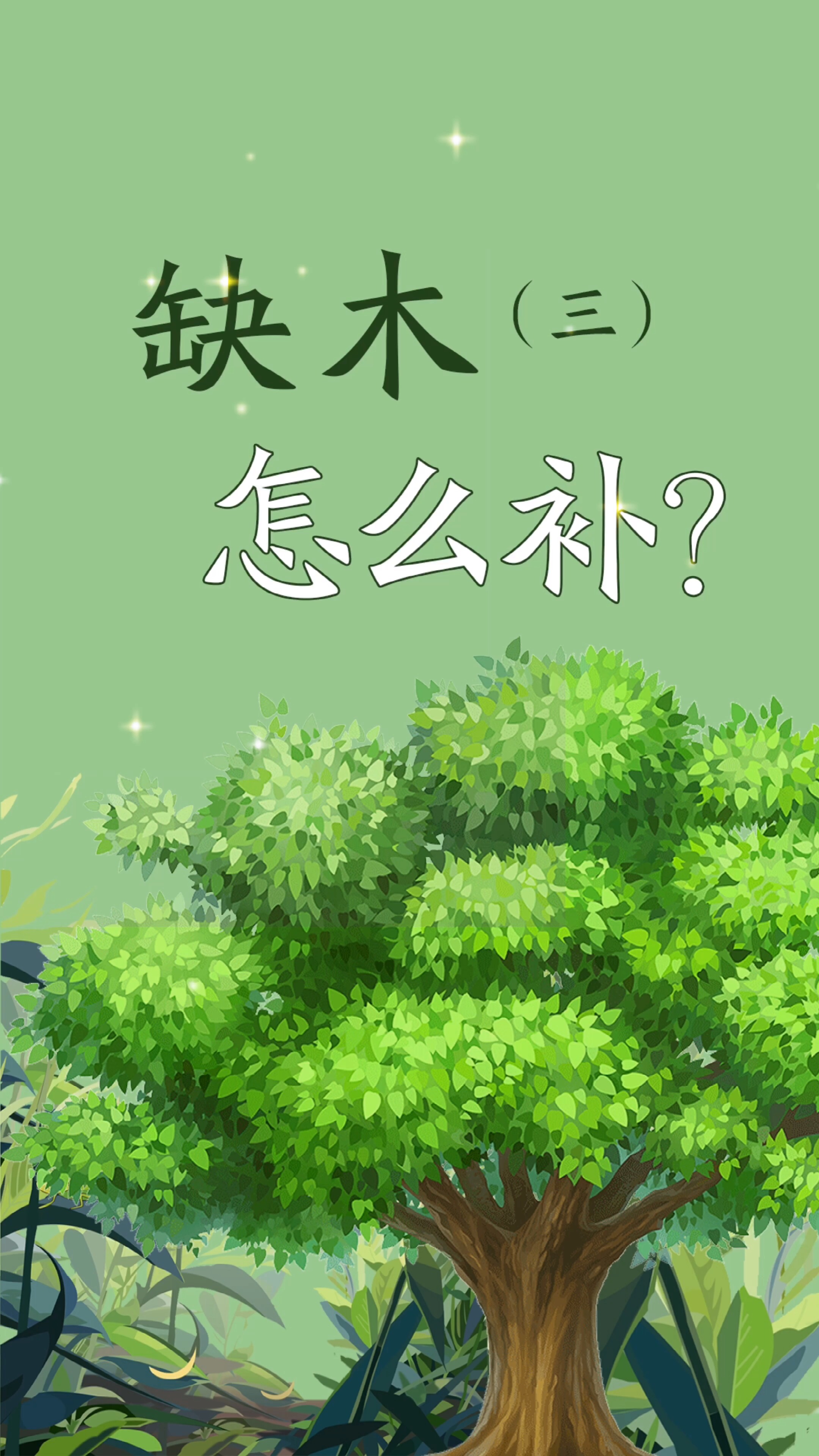 五行缺木怎么补(3)