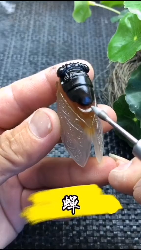 手工雕刻一只知了,寓意一鸣惊人,大家觉得这只好看吗?#轻工制造者