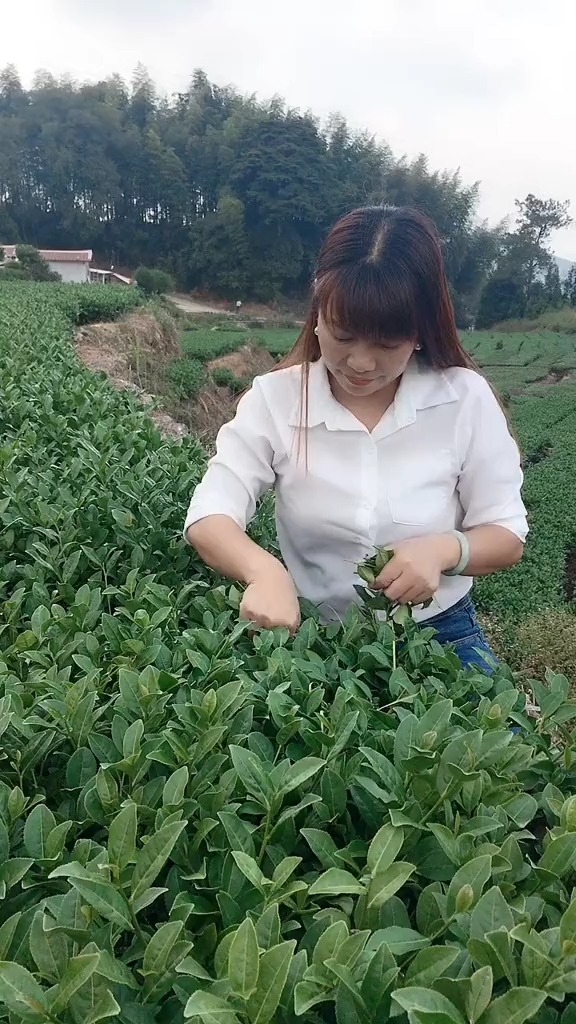 我书读的少,但是我知道,身为农村女人必须要靠自己勤劳的双手创造奇迹