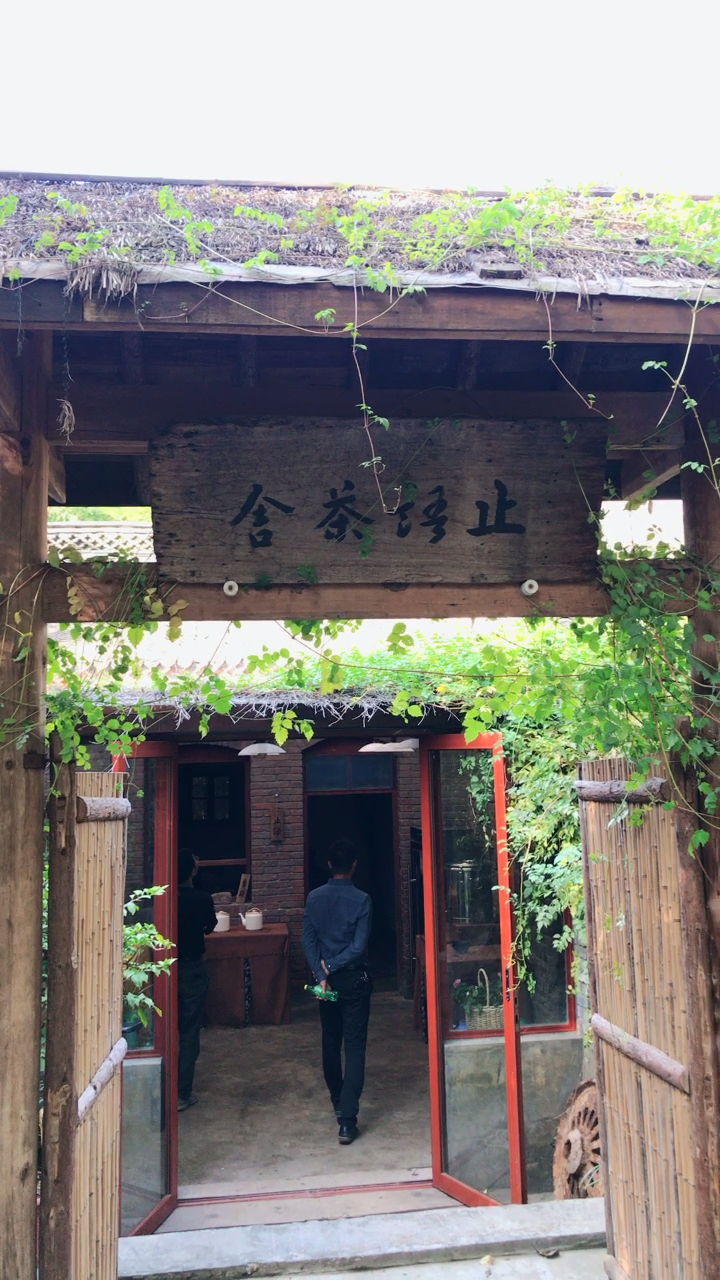 止语茶舍-白马寺深处一个品茶95的地方