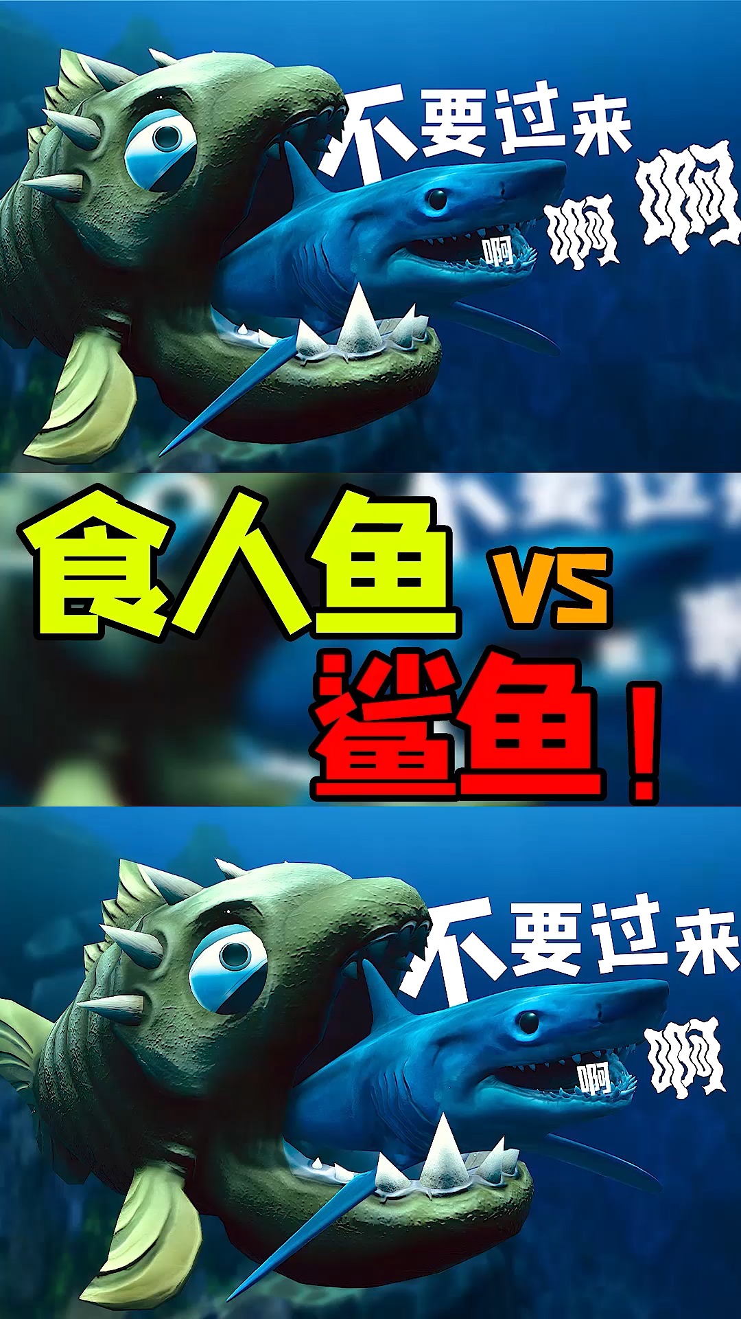 海底大猎杀01:食人鱼vs鲨鱼,谁更强?(上)