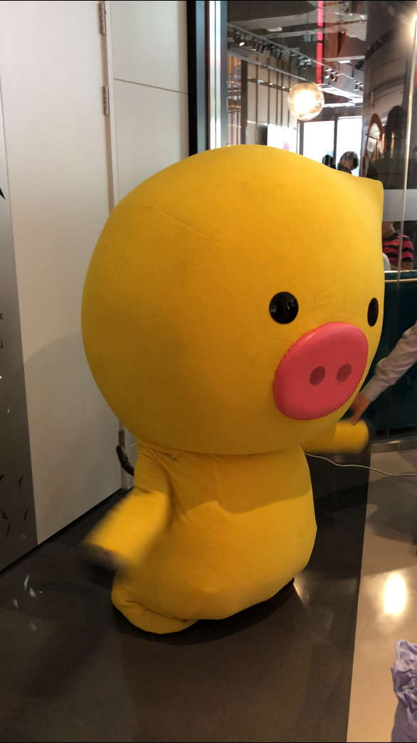 一只会"飞"的飞猪