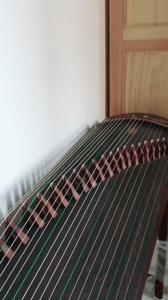 古筝:小撮版大长今呼唤