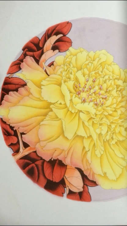 工笔雏鹅黄牡丹