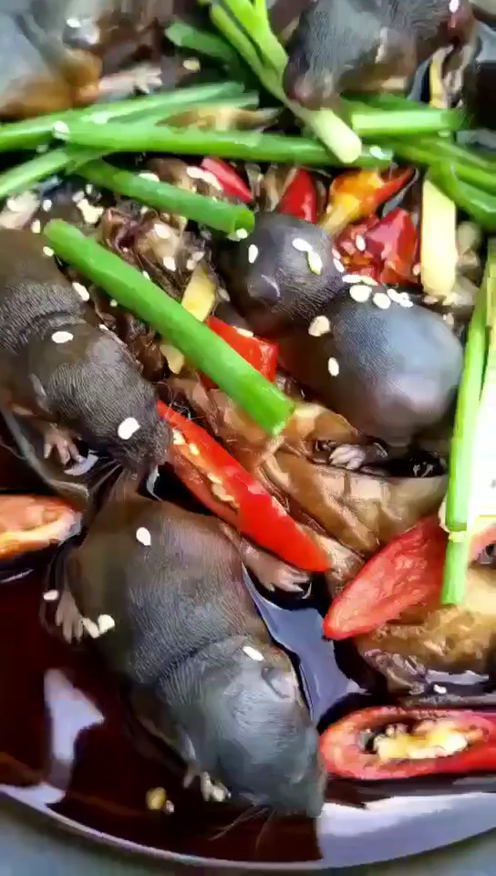 三叫菜你敢吃吗