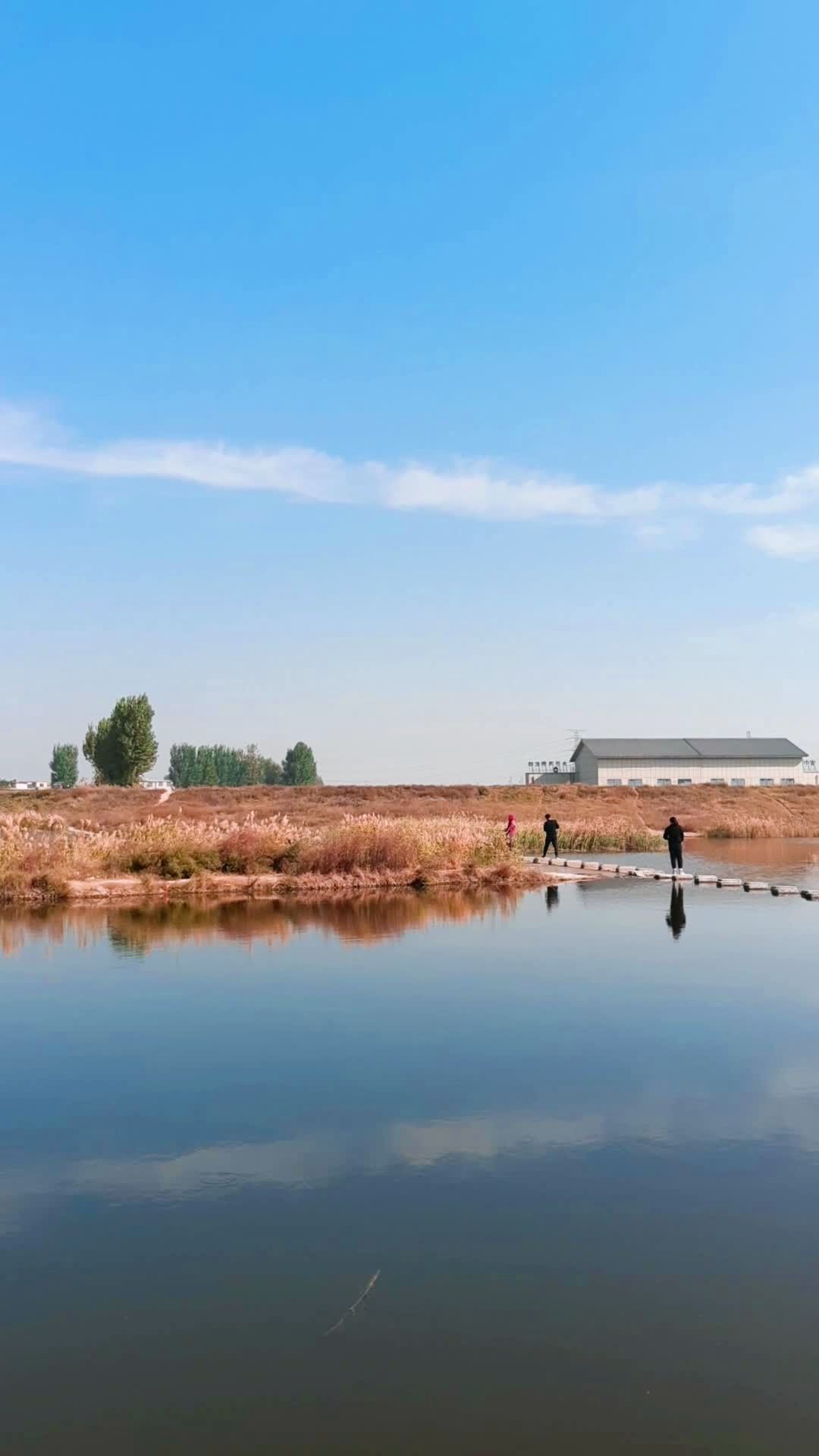 焦作市阳庙镇北西尚村北·美丽大沙河