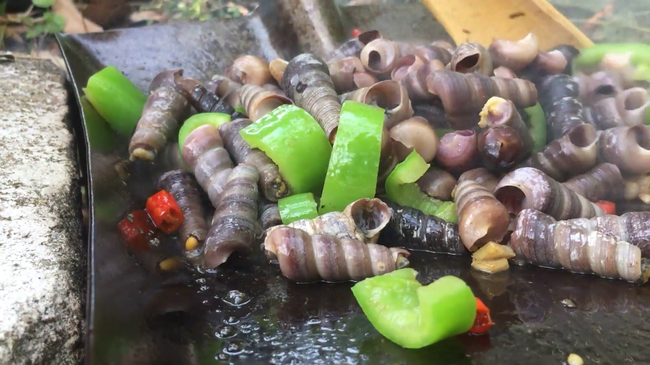 铁铲爆炒长尾螺