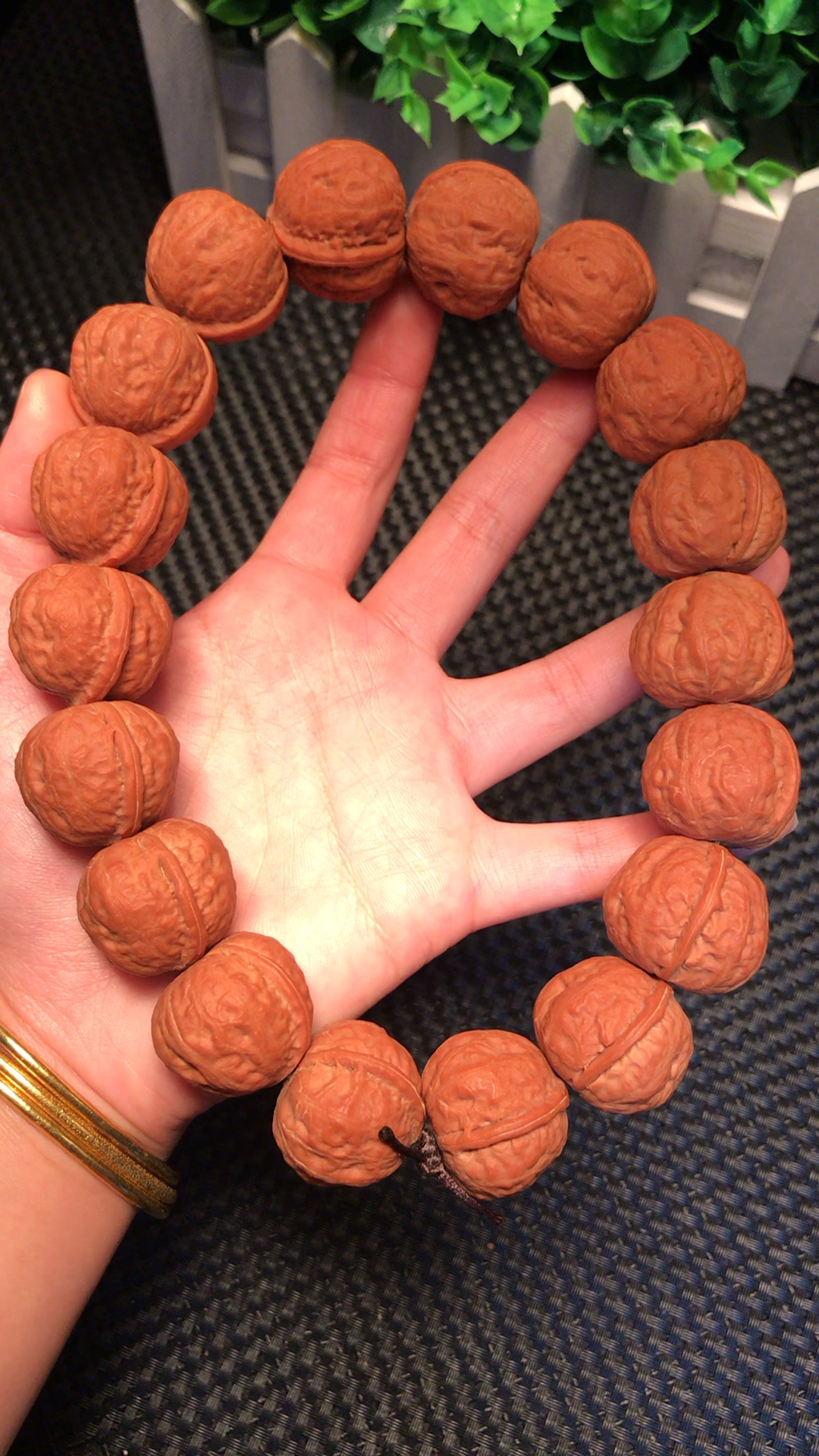 纯野生门头沟元宝红皮手持