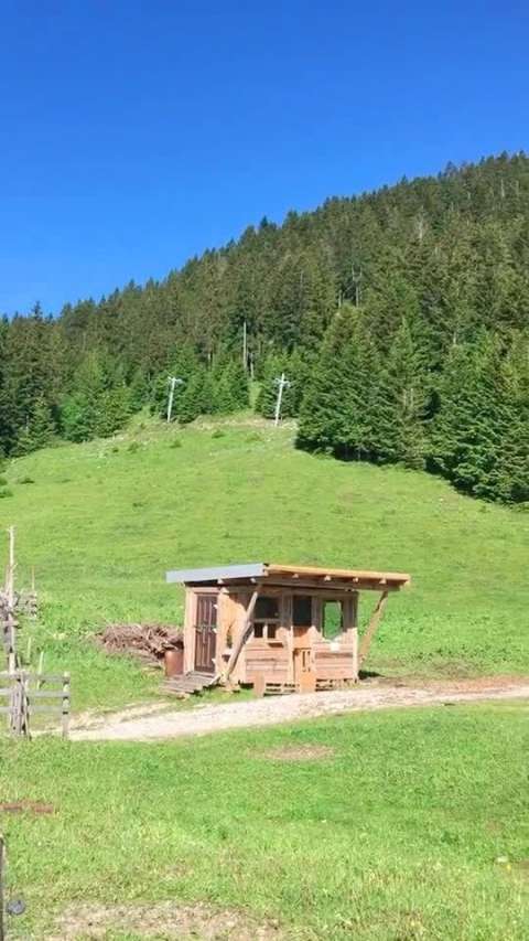 漂亮的景色让人感觉惬意舒服