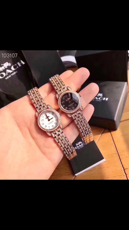22mm小表径,蔻驰(coach)手表,小马车满钻款,太闪了,全套包装,支持验货