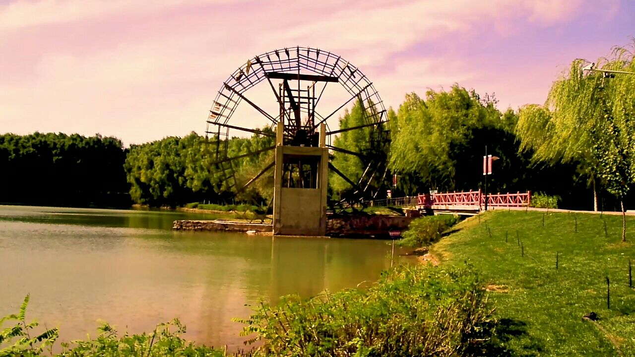 秋韵—宁夏中卫香山公园