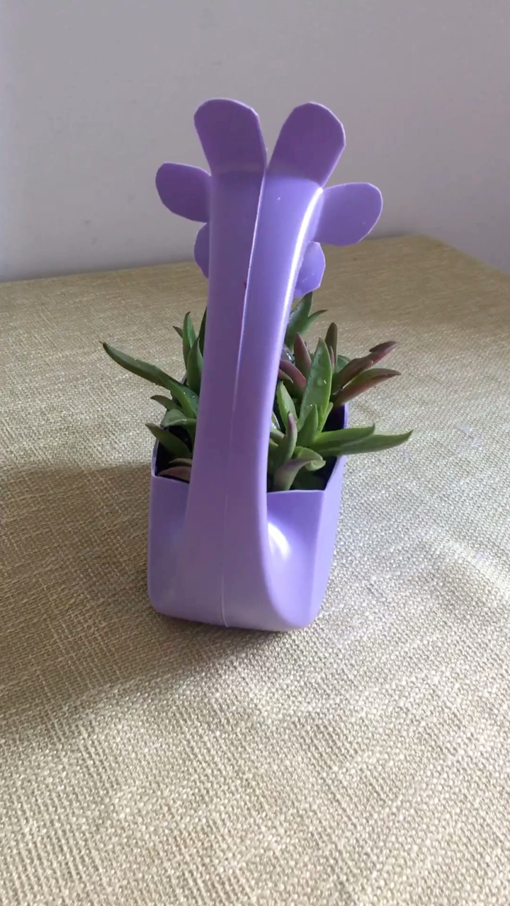 利用洗衣液桶做的花盆美极了