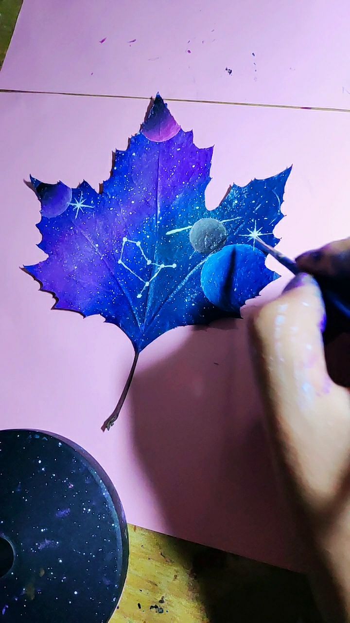 树叶上画星空星座,双子座