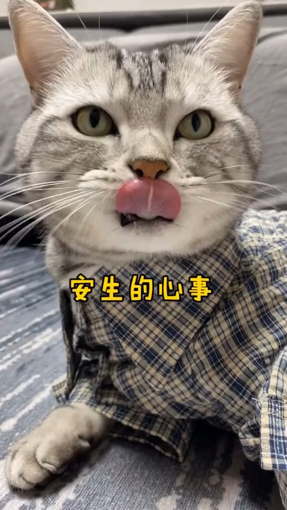 安生第一次穿女装,让大家见笑了哈哈哈哈,忍住别笑孩子要面子