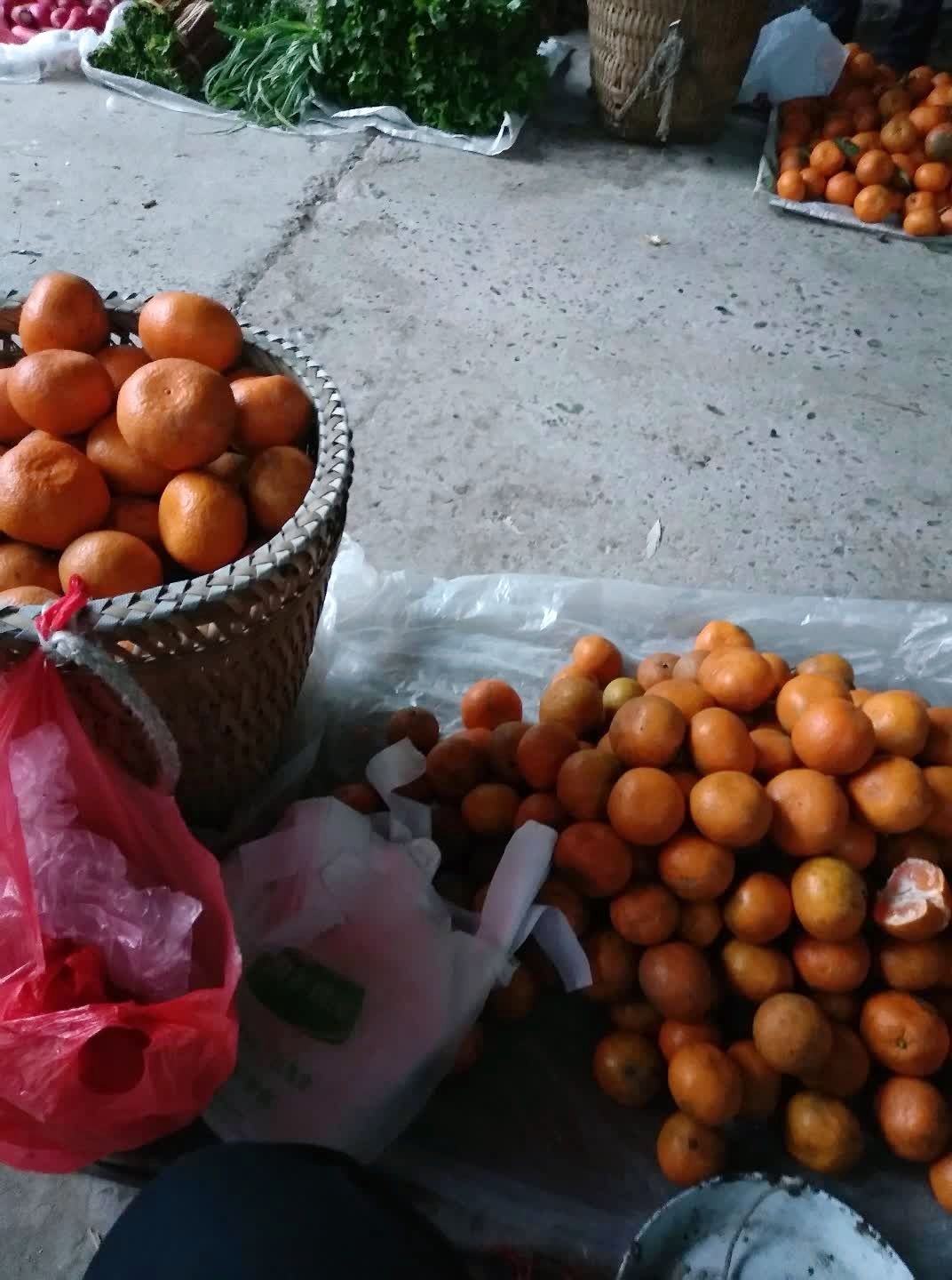 今天赶街卖橘子