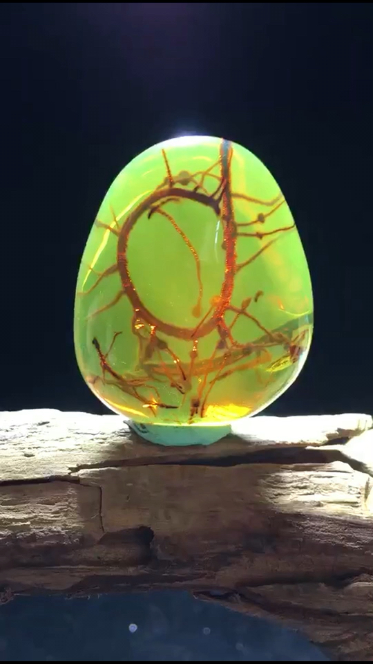 缅甸琥珀—-植物珀收藏价值极强