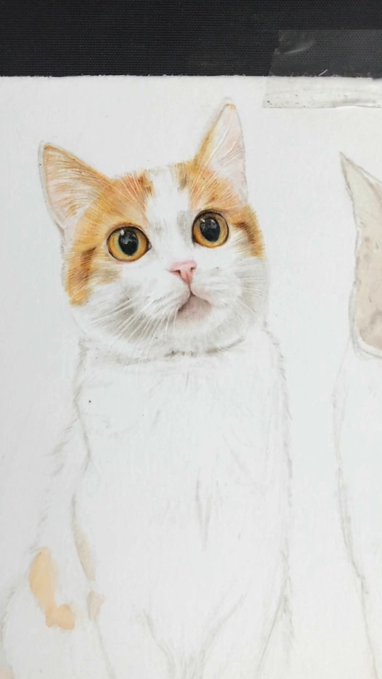 乖巧的橘色小猫咪正在上色中