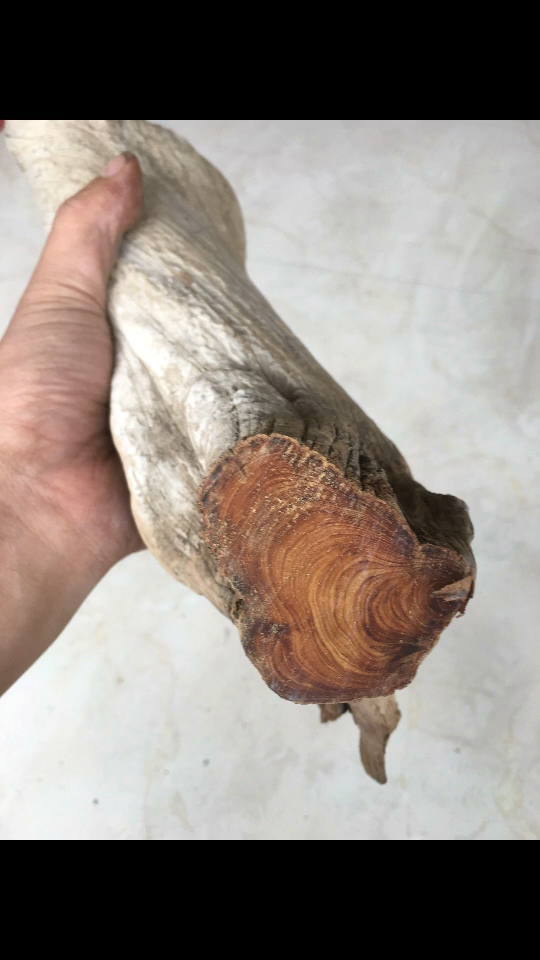 崖柏骨料特级料质2.3斤重 220包邮