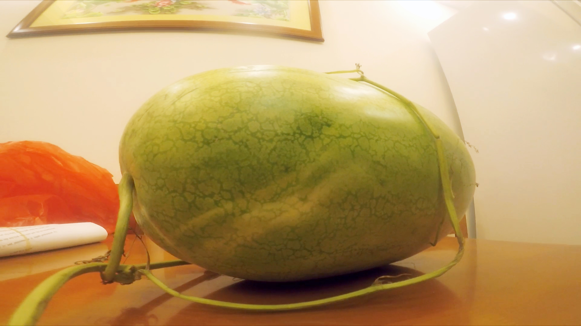 有多少人吃过最原始品种的大西瓜(0662546309625505)