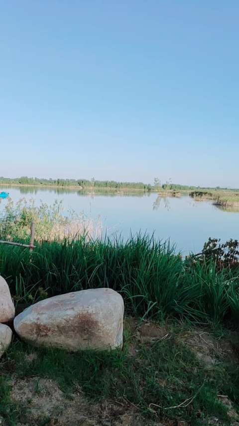 聊城位山湿地公园