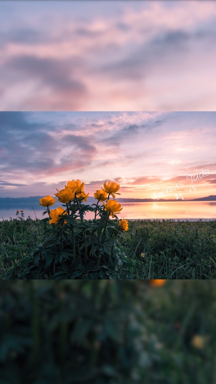 情感短视频素材 #海边沙滩夕阳#情感语录 花会沿路盛开你以后的路