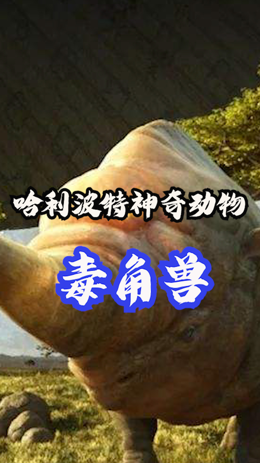 哈利波特神奇动物系列毒角兽解读,皮糙肉厚,毒性强烈的猛兽#哈利波特