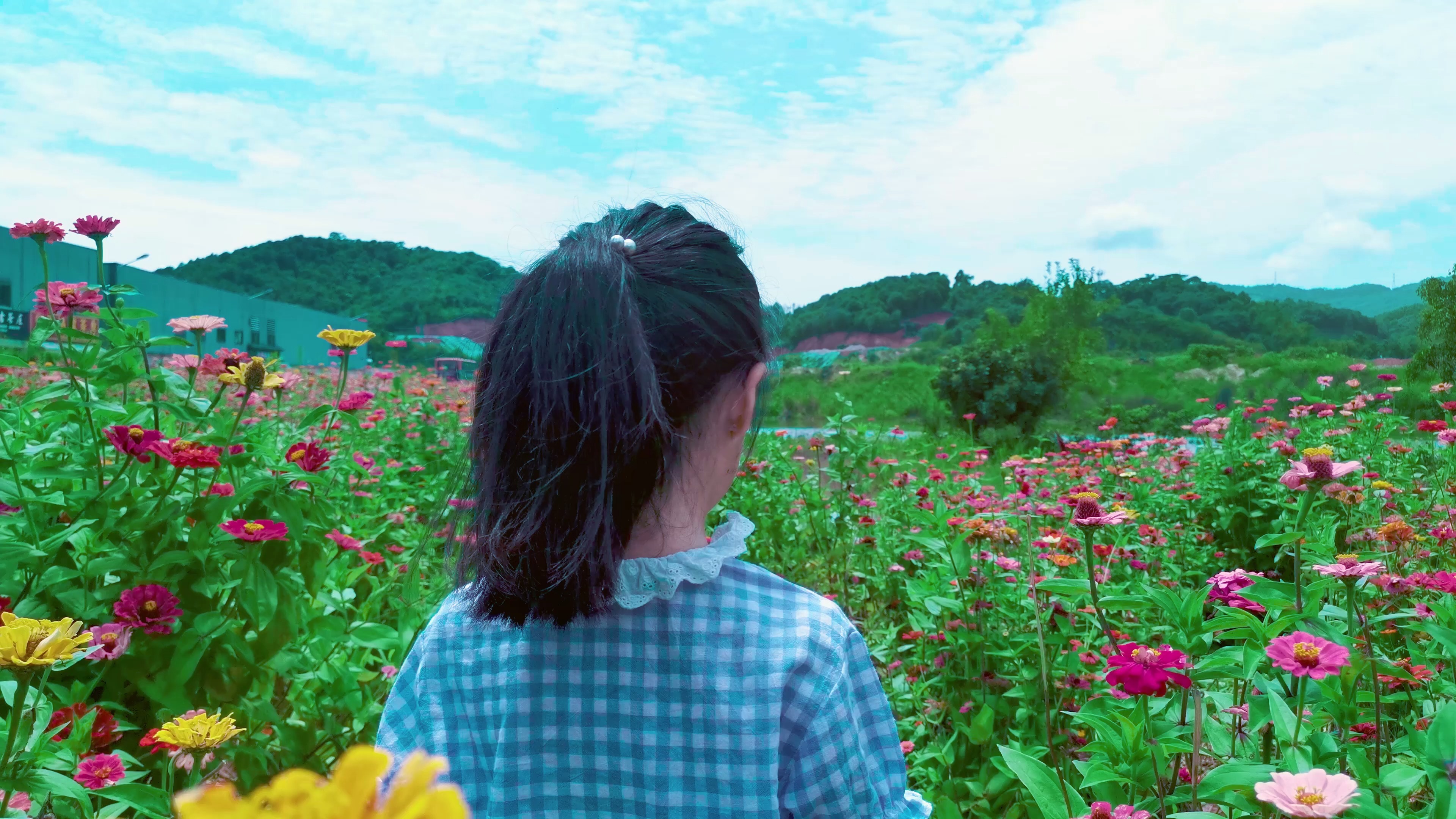 女孩子和大妈都喜欢的花海