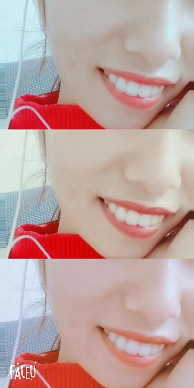 我的大萌牙有自己的想法