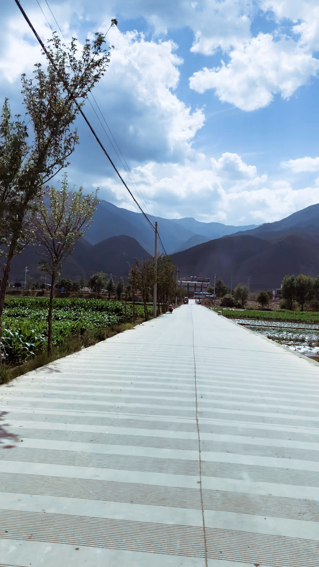 乡间的小路,很长很直,想起小时候骑着自行车去上学的那条小路.