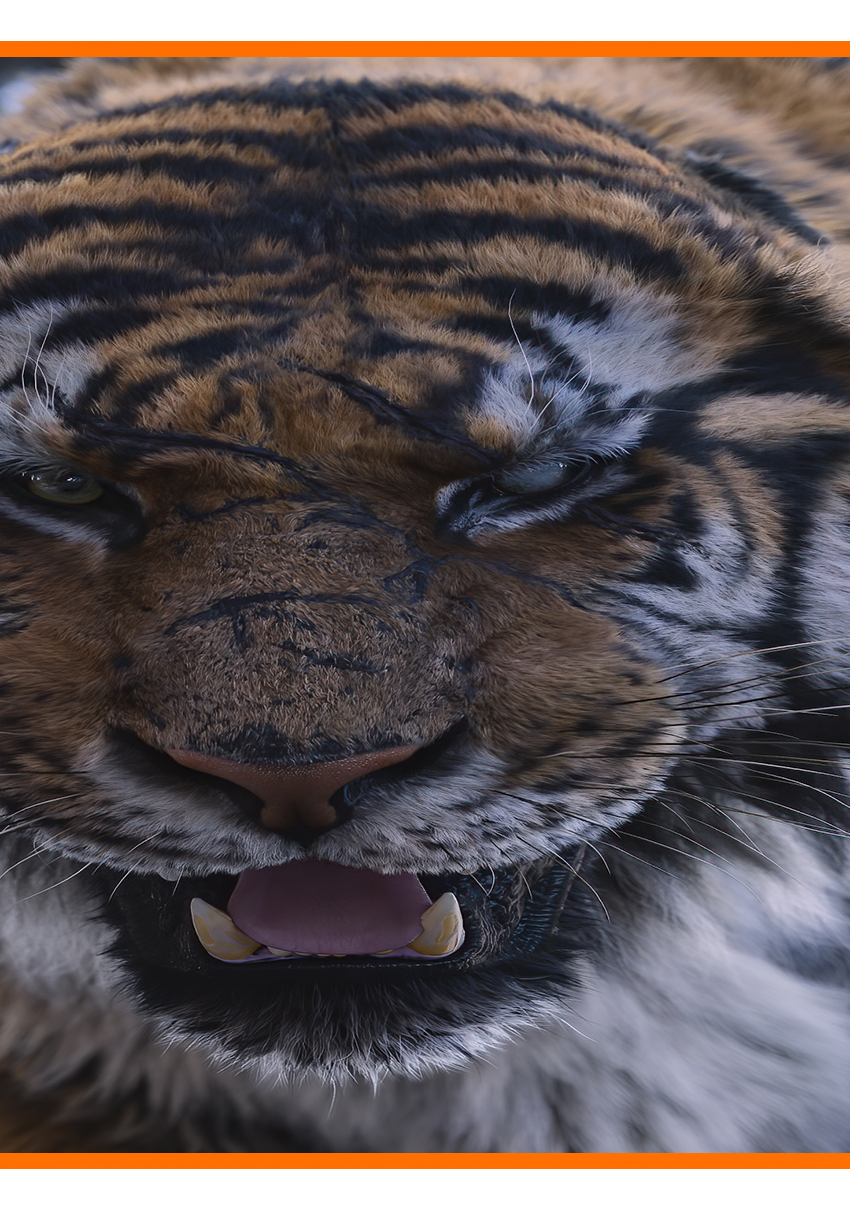 森林霸主虎王山君天神下凡,一掌一个小鬼子,恩必报,仇必偿!