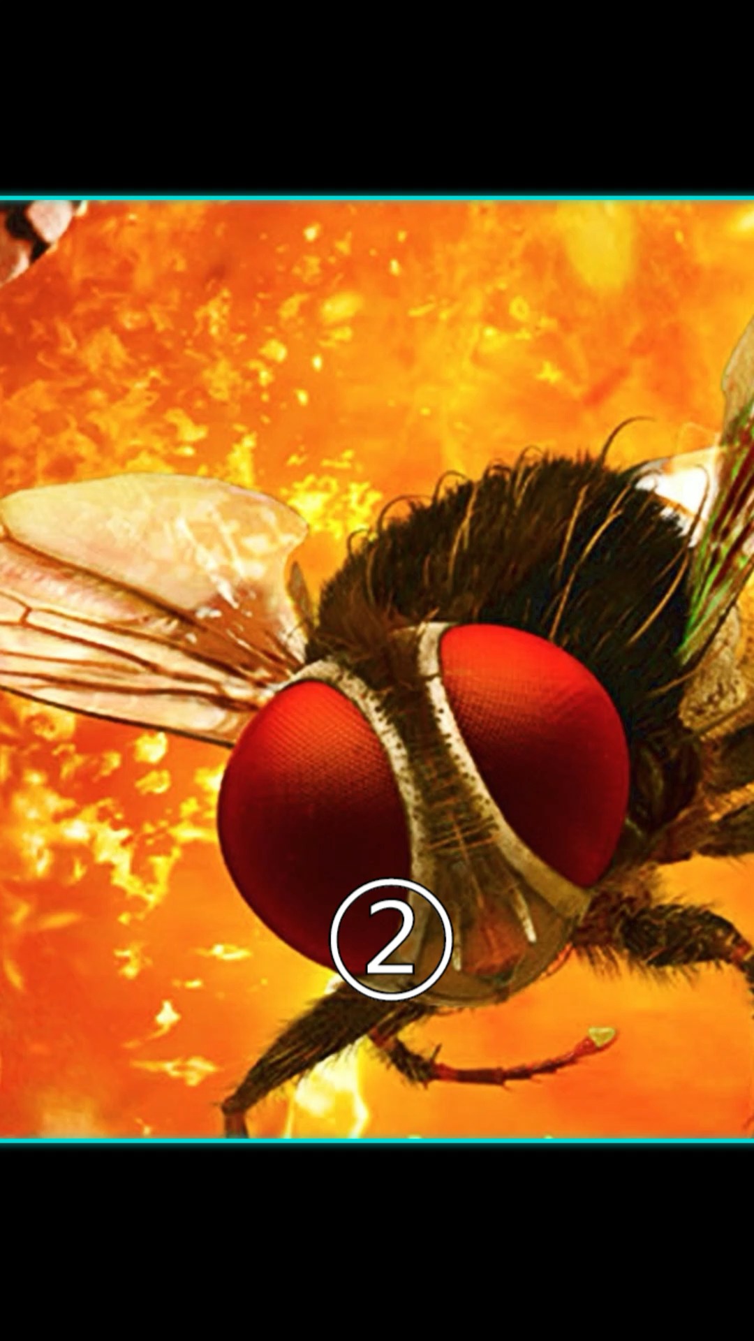 重生变成苍蝇后,准备开始复仇:《功夫小蝇》#暑假必刷经典怀旧剧