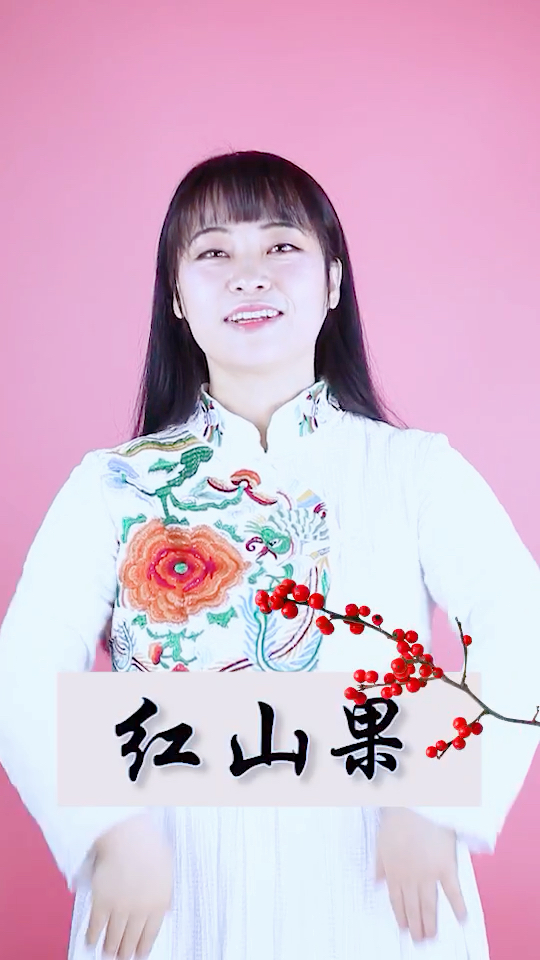 家庭早教#中文手势舞 红山果