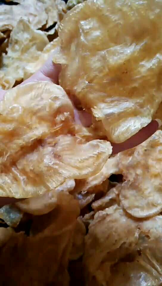 《成鳘鱼胶》很漂亮