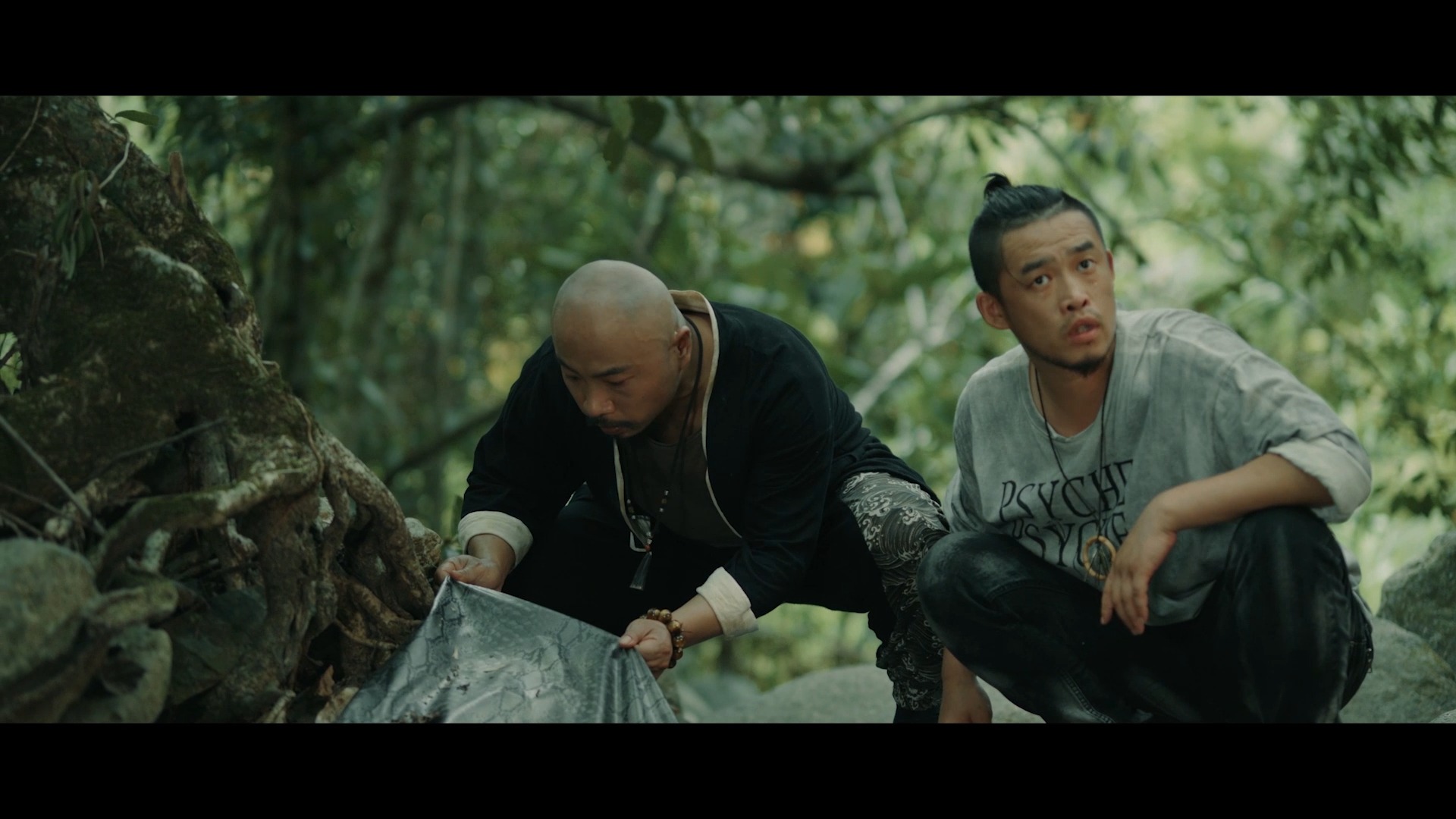 电影蛇王2021 贪婪成性欲望当头!眼睛一红人心就黑了