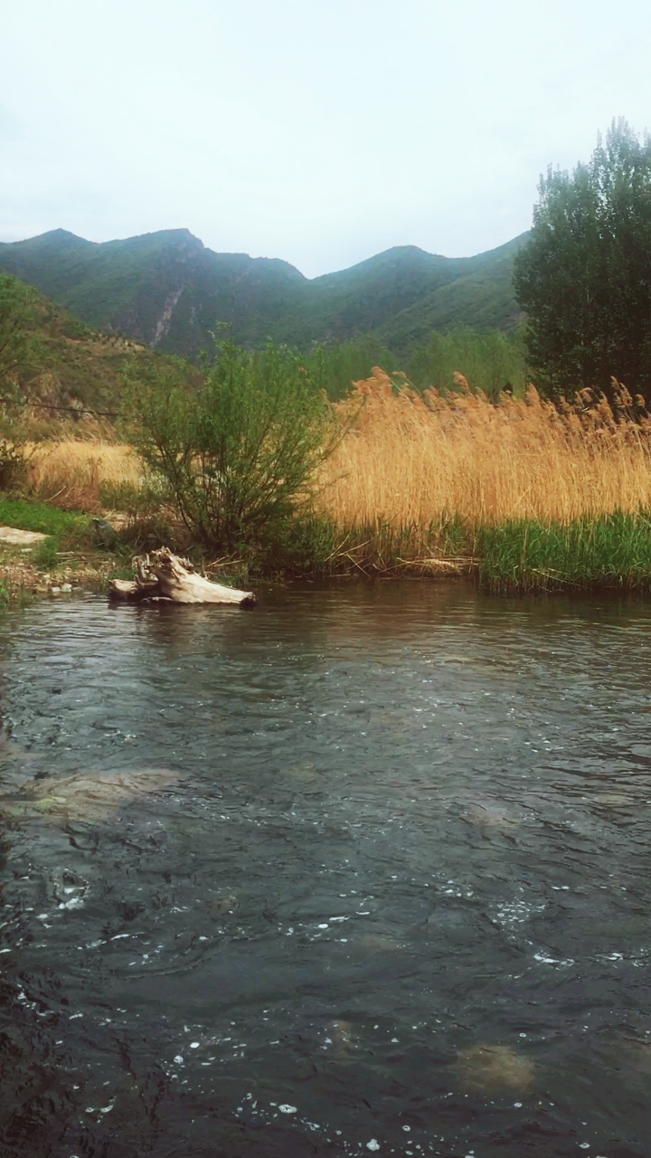 五一の我们,盼望已久的郊游,徐徐清风,淡淡山水色,只有我们.
