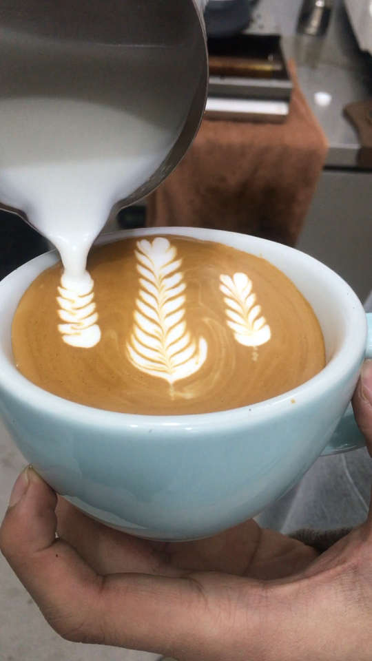 咖啡拉花五叶麦穗