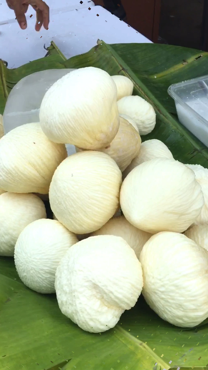 黑子的缅甸9898生活—天然棉花糖椰子心05