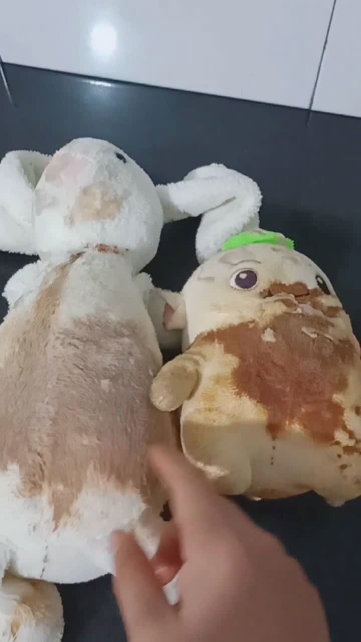 哈哈哈哈,胡巴和小兔子吃口香糖了.