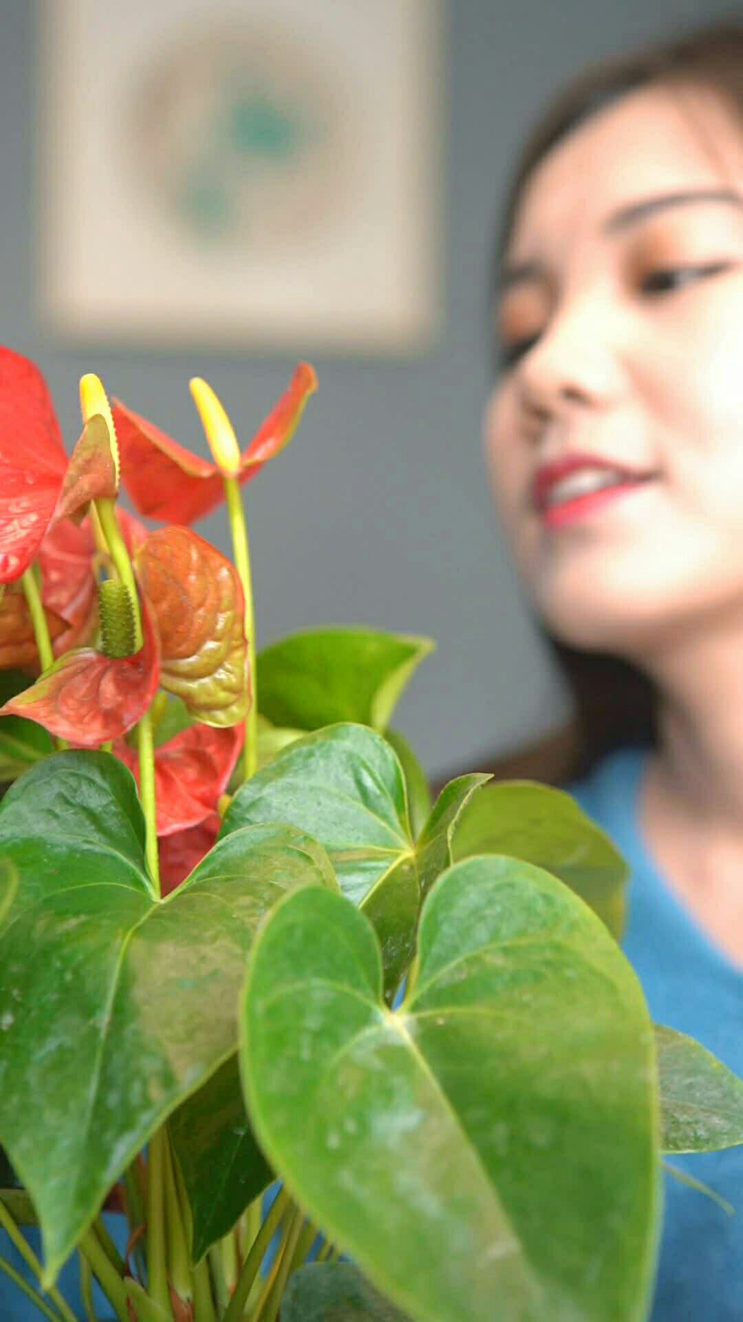 喜欢养花的女孩,胃口都不会太差