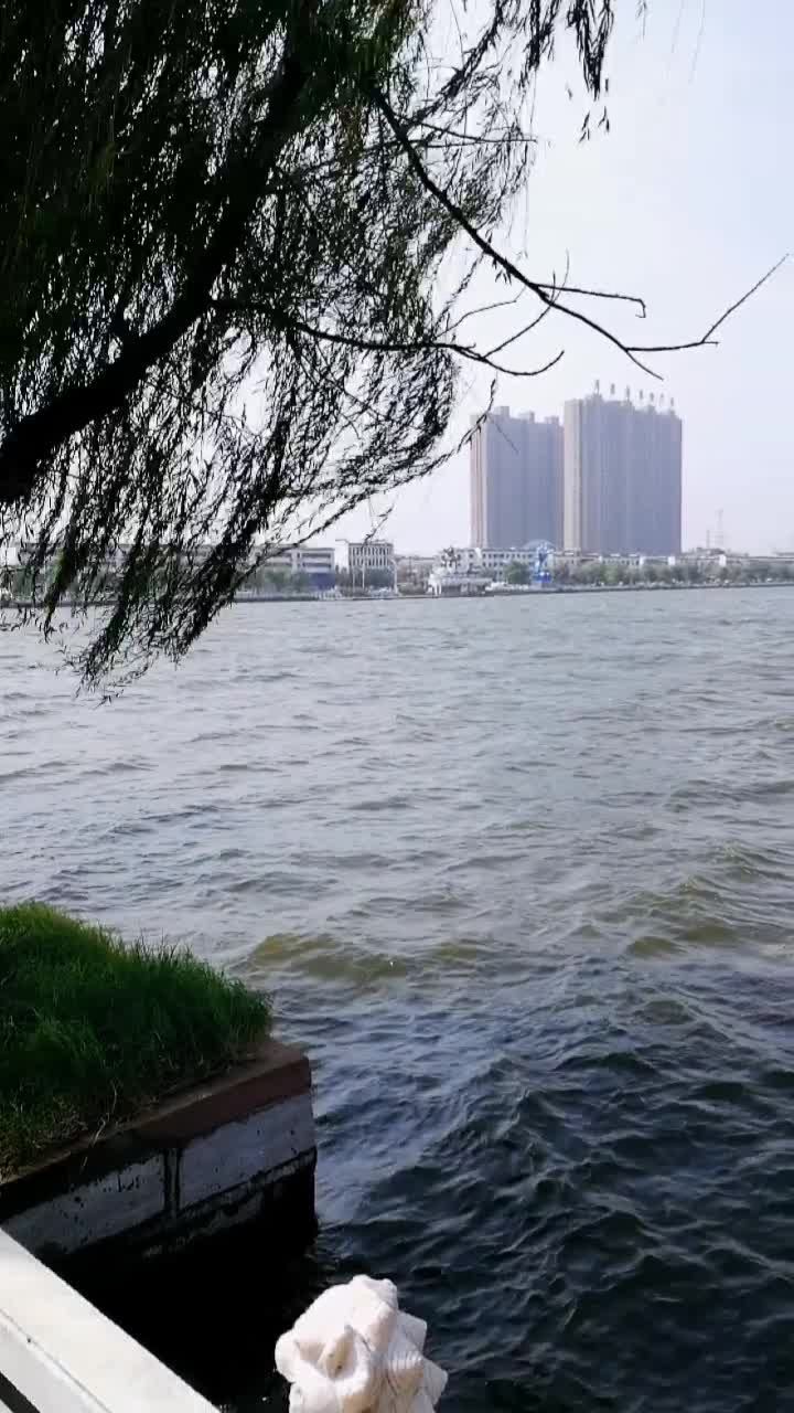 大风降温!寒露已过,天气寒凉.