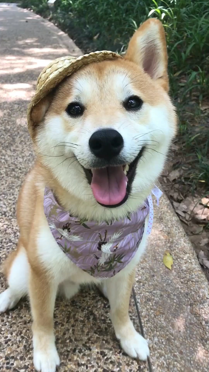 阳光明媚笑容灿烂,说好啦每天都要开心哦!