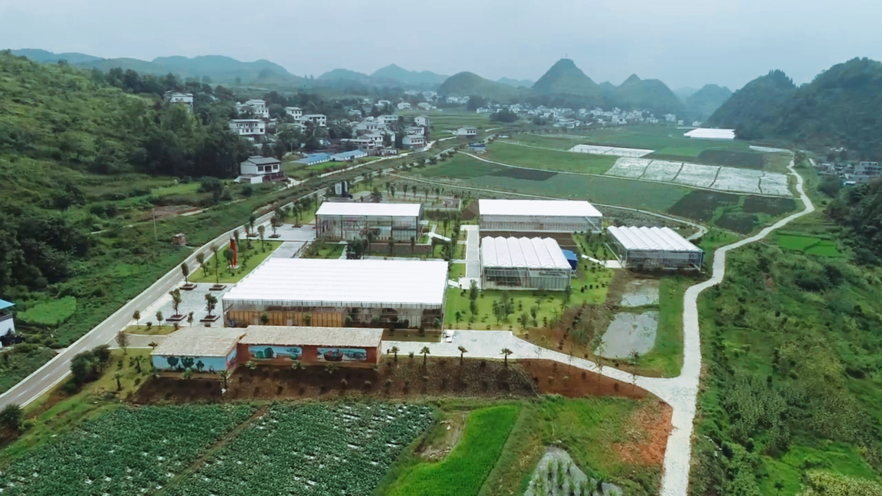 现代高效农业示范基地