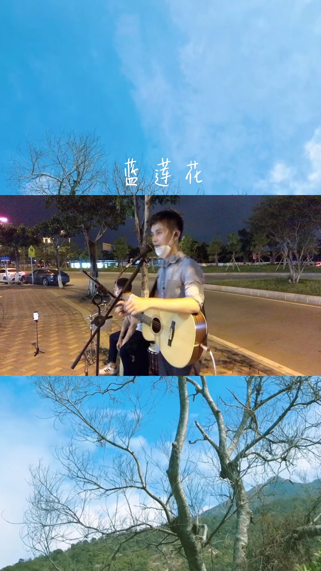 没有什么能够阻挡,你对自由的向往 #蓝莲花 #许巍 #街头卖唱