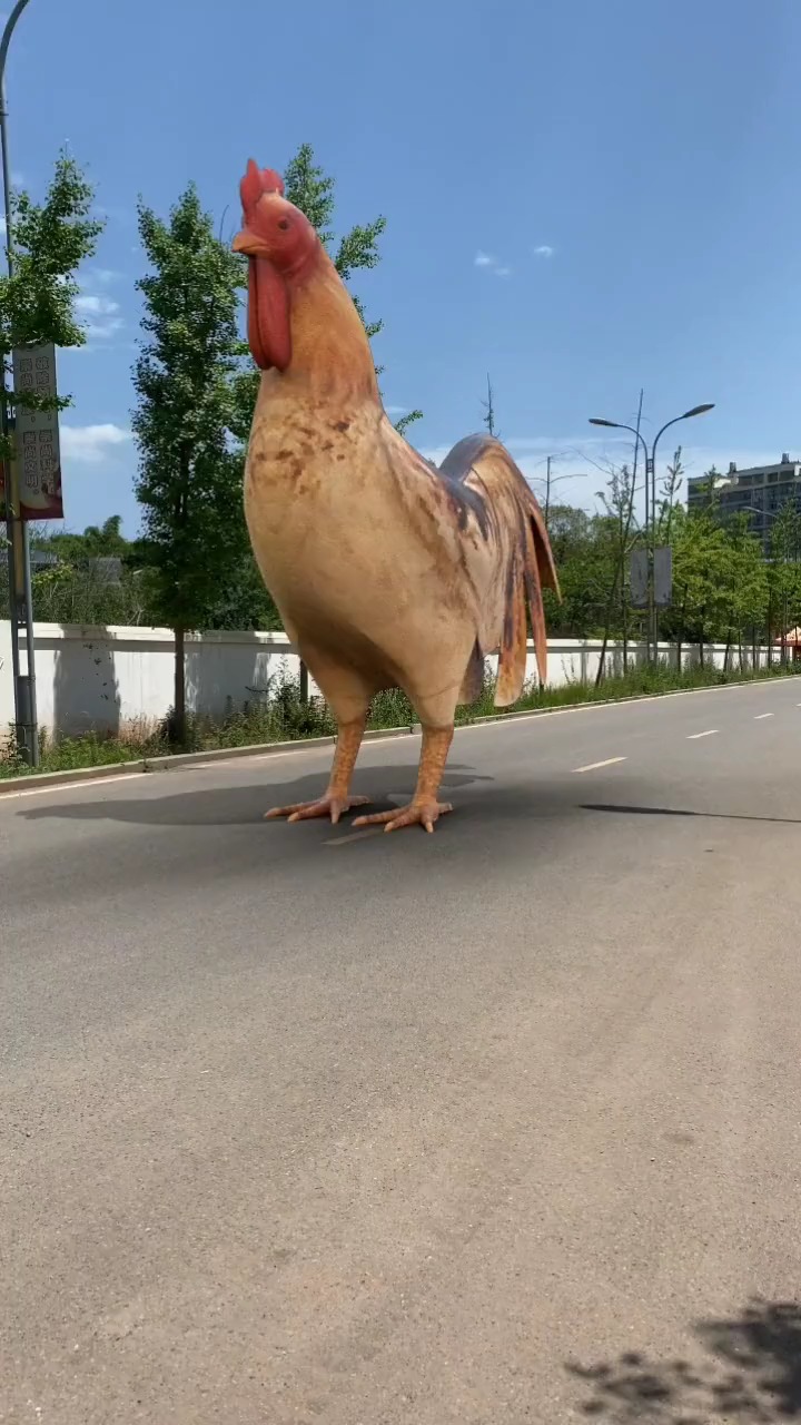 沙雕一只鸡,大吉大利今天吃鸡0n2